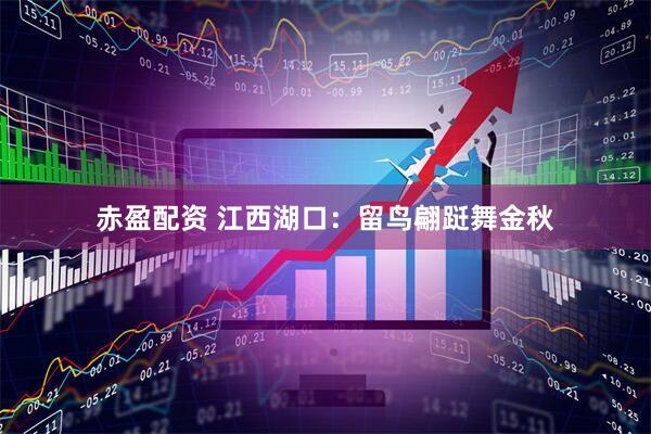 赤盈配资 江西湖口：留鸟翩跹舞金秋