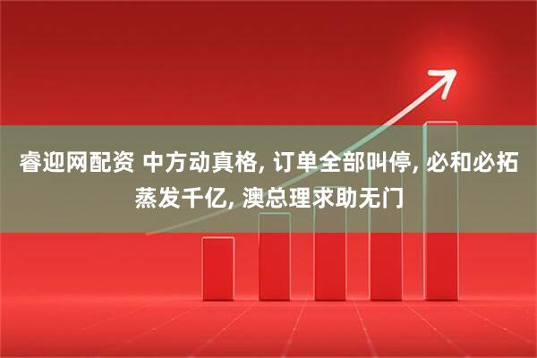 睿迎网配资 中方动真格, 订单全部叫停, 必和必拓蒸发千亿, 澳总理求助无门