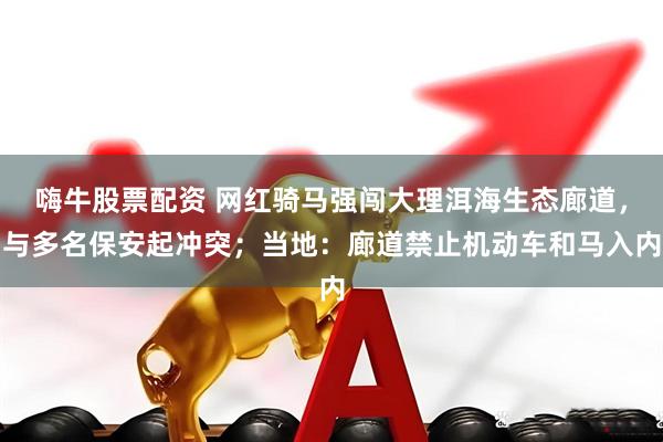 嗨牛股票配资 网红骑马强闯大理洱海生态廊道，与多名保安起冲突；当地：廊道禁止机动车和马入内